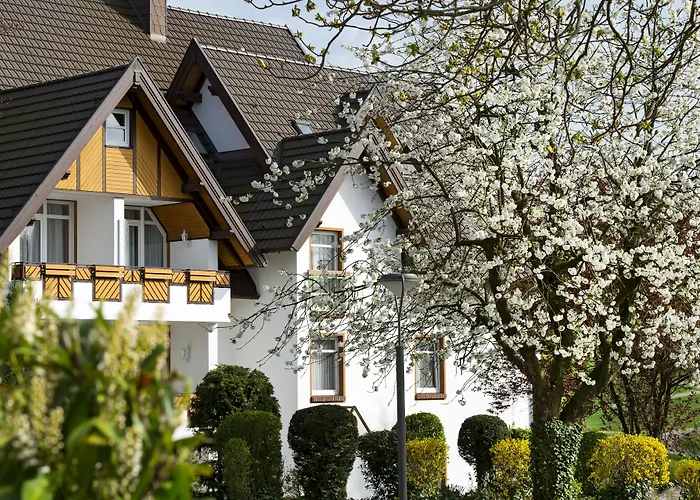 Hotel Buller Hagen (Osnabruck)